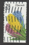 Sellos de America - Estados Unidos -  Flor Jacinto
