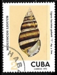 Stamps Cuba -  Conchas y Caracoles Marinos - Liguus fasciatus guitarti 