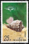 Stamps North Korea -  Conchas y Caracoles Marinos - Rapana thomasiana