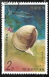 Stamps North Korea -  Conchas y Caracoles Marinos - Mactra sulcataria