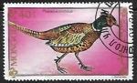 Stamps Mongolia -  Faisan