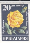 Stamps Bulgaria -  FLORES- rosa amarilla 