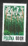 Stamps Poland -  1798 - Bosque