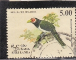 Stamps : Asia : Sri_Lanka :  AVE- RED FACED MALKOHA