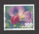Stamps Sweden -  Flor del guisante