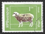 Stamps Bulgaria -  Ovejas