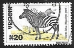 Stamps Nigeria -  Cebras