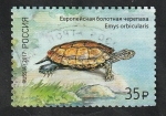Stamps Russia -  7816 - Tortuga