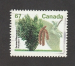 Stamps Canada -  Avellano