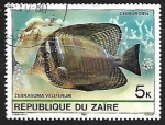 Stamps : Africa : Republic_of_the_Congo :  Peces - Sailfin Tang