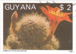 Sellos de America - Guyana -  CAPTUS- SUBUTIA HYALACANTHA