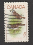 Sellos de America - Canad� -  ave Zonotrichia albicollis