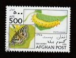 Stamps Afghanistan -  Zerynthia polyxema