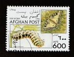 Stamps Afghanistan -  Papilio machaon