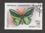 Stamps Madagascar -  Teogonoptera priamus