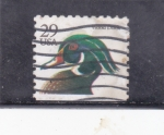 Stamps United States -  PATO