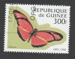 Stamps Guinea -  Dryas julia