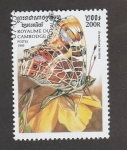 Sellos de Asia - Camboya -  Araschinia levana