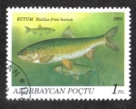 Stamps Azerbaijan -  Peces, Caspian Kutum (Rutilus frisii kutum)