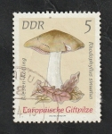 Stamps Germany -  1613 - Champiñón