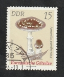 Stamps Germany -  1615 - Champiñón