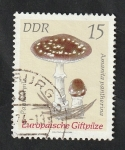 Stamps Germany -  1615 - Champiñón
