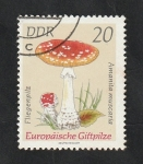 Stamps Germany -  1616 - Champiñón