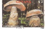 Stamps : America : Guyana :  SETAS- CORTINARIUS BOLARIS 