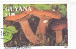 Stamps Guyana -  SETAS- LACTARIUS CAMPHORATUS 