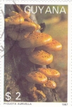 Stamps Guyana -  SETAS- PHOLIOTA AURIVELLA