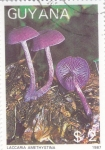 Stamps Guyana -  SETAS- LACCARIA AMETHYSTINA 