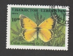 Stamps Asia - Uzbekistan -  Colias romano