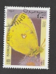 Stamps Somalia -  Collias crocea