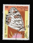 Stamps Somalia -  Melanargia gálathea