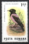 Stamps Romania -  AVES.  STURNUS  ROSEUS.