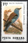 Stamps Romania -  AVES.  CORACIAS  GARRULUS.