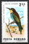 Stamps Romania -  AVES.  MEROPS  APIASTER.