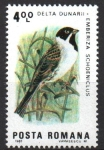 Stamps Romania -  AVES.  EMBERIZA  SCHOENICLUS.
