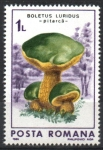 Sellos de Europa - Rumania -  HONGOS.  BOLETUS  LURIDUS.