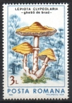 Sellos de Europa - Rumania -  HONGOS.  LEPIOTA  CLYPEOLARIA.
