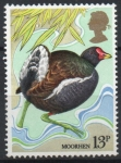 Sellos de Europa - Reino Unido -  AVES.  MOORGEN.