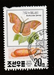 Stamps North Korea -  Antheraea pernyi