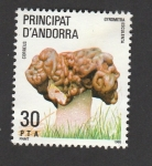 Stamps Andorra -  Gyromira esculentus