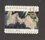 Sellos de Oceania - Australia -  rata fantasma, en peligro de extinción