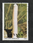 Stamps : America : Guyana :  2357 - Champiñón, Anellaria Semiovaja