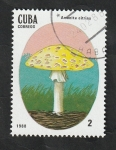 Stamps : America : Cuba :  2824 - Champiñón venenoso, Amanita citrina