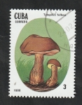 Stamps : America : Cuba :  2825 - Champiñón venenoso, Tylopilus felleus