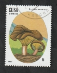 Stamps : America : Cuba :  2826 - Champiñón venenoso, Paxillus involutus