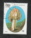 Stamps : America : Cuba :  2827 - Champiñón venenoso, Inocybe patouillardii