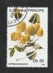 Stamps : Africa : S�o_Tom�_and_Pr�ncipe :  986 - Champiñón, Coprinus micaceus